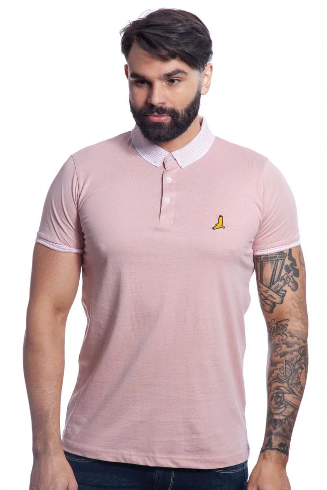 Gloverd Polo - Image 9