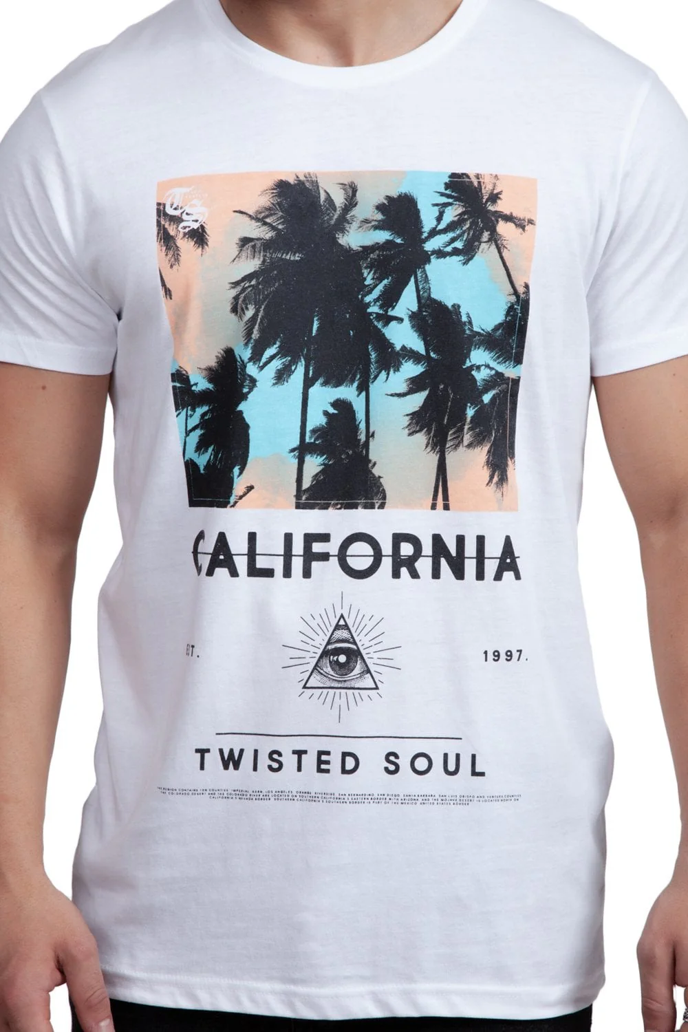 California Tee - Image 2